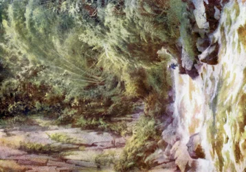 Ein Bergstrom